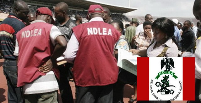 NDLEA ILODUBA