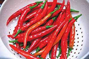 cayenne-pepper