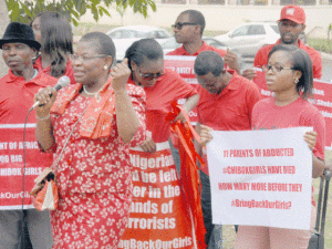 Dr Obi Ezekwesili and other BBOG members