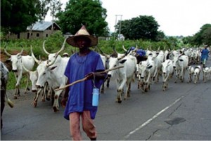 Fulani-Herdsmen