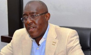 Olisa Metuh, PDP Spokesman