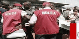 475-traffickers. NDLEA-Officers