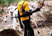 Herdsmen kill Ohanaeze chieftain’s father, INEC staff in Ebonyi