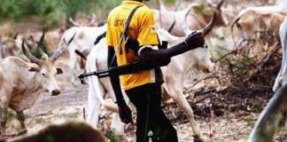 Herdsmen kill Ohanaeze chieftain’s father, INEC staff in Ebonyi