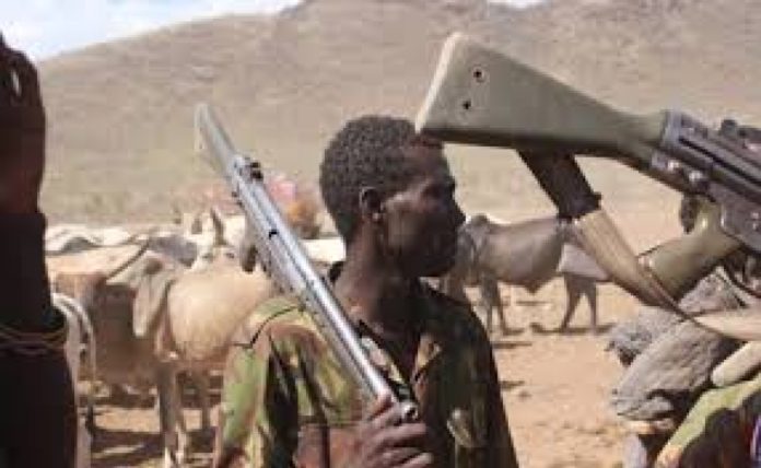 Herdsmen kill ten, raze houses in Plateau