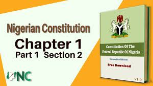 Rights to water, healthcare, free education should be added to Nigeria's constitution, Nigerians demand