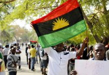 Fatima: CAN flays IPOB, says they’re murderers, cowards
