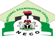 13-candidates. NECO-logo