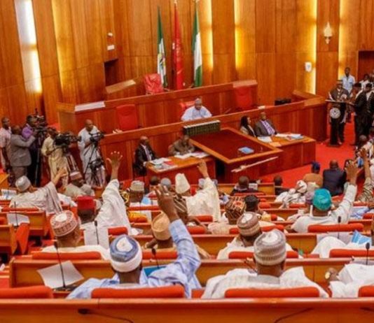 Senate passes 49 out of 68 Constitution Bills, receives Buhari's 'Nigeria Startup Bill 2021'