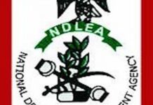 Two-killed-as-NDLEA. NDLEA-Logo