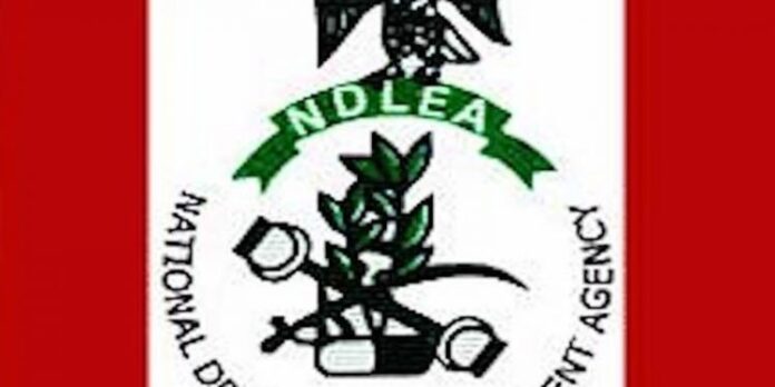 Two-killed-as-NDLEA. NDLEA-Logo