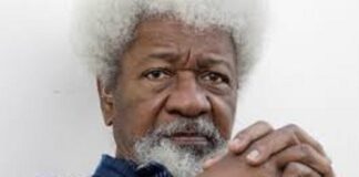 Soyinka in search of Nigeria’s next Nobel honoree