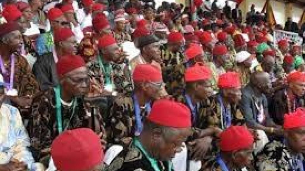 Anya-Ndi-Igbo to Nigerians: Time to take back our country is now