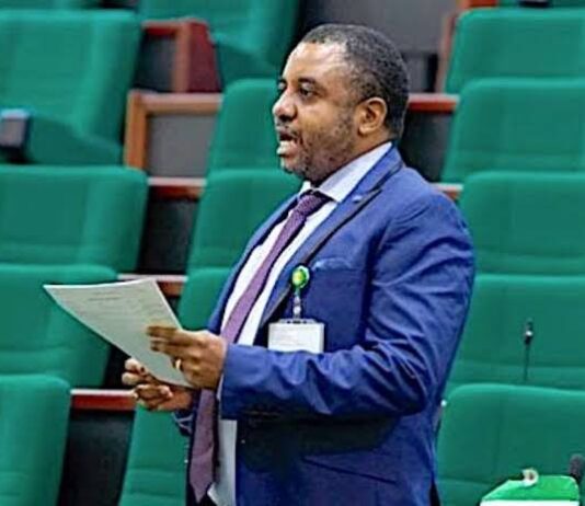 Reps mandate Army Chief, IGP to probe invasion of five Mbaise communities in Imo
