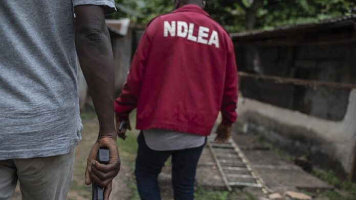 NDLEA. Mean searching