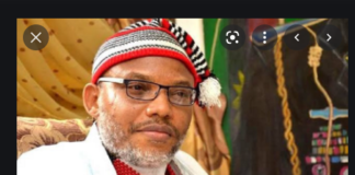 More than 100 lawyers for Nnamdi Kanu