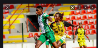 Super-Falcons in action