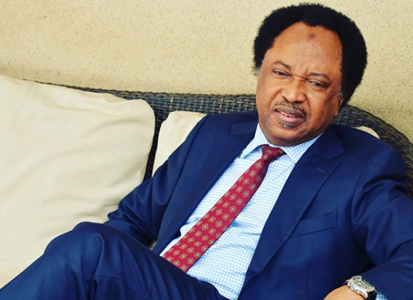 How Emefiele will be treated after Buhari’s tenure – Shehu Sani