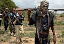 gunmen-nigeria mutum biyu