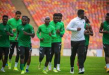 Anyim charges Super Eagles to win Nigeria's fourth AFCON trophy