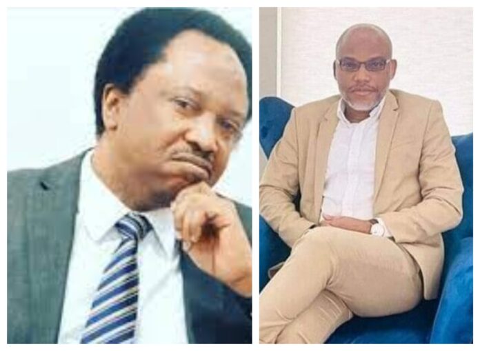 Nnamdi-kanu-shehu-sani