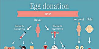 Egg donation