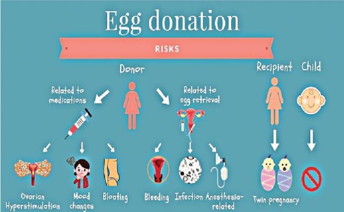 Egg donation