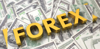 CBN forex