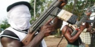 Gunmen kill 7 community leaders in Imo