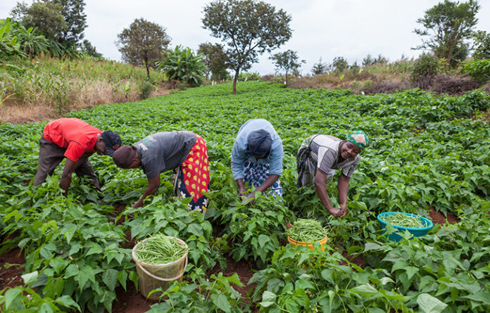 Farmers get