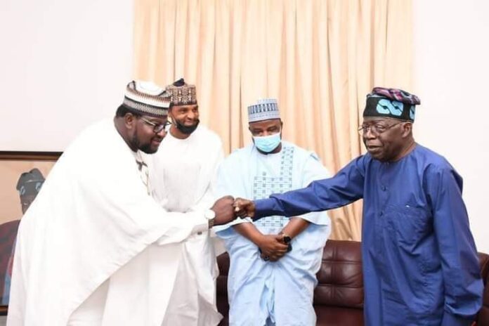 Businessman signs N100m cheque for Tinubu's nomination form