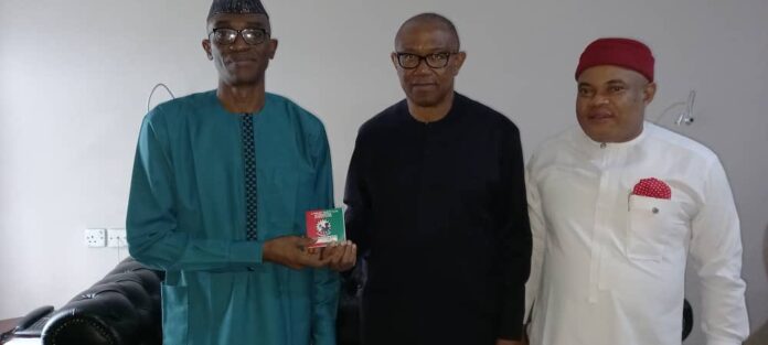 Group calls on Ekweremadu, Abaribe, Otti, others to dump APC, PDP, join Obi in Labour Party