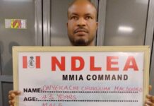 NDLEA-arrests. Onyekachi-Chukwuma-Macdonald