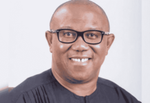 Full text of Peter Obi’s New Year message to Nigerians