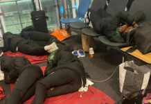 Falconets sleep at Istanbul airport