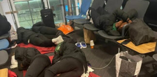 Falconets sleep at Istanbul airport