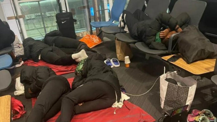 Falconets sleep at Istanbul airport
