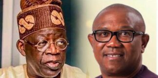 Tinubu’s henchmen