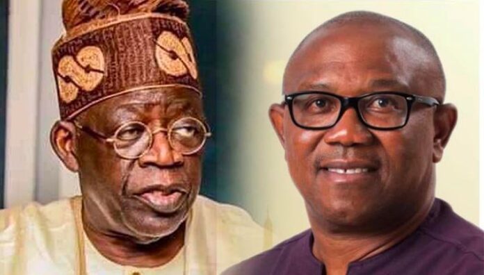 Tinubu’s henchmen