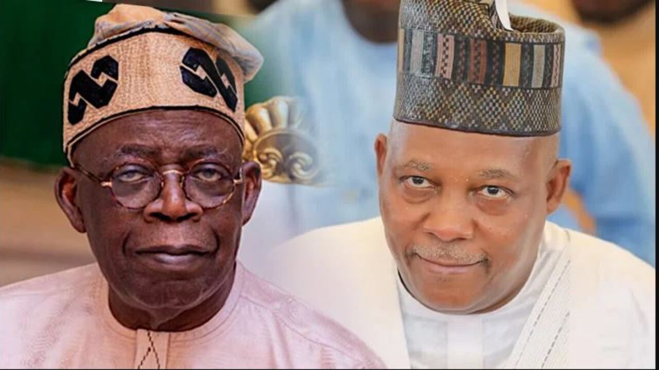 Governors lobbying Tinubu for campaign jobs - TheNiche