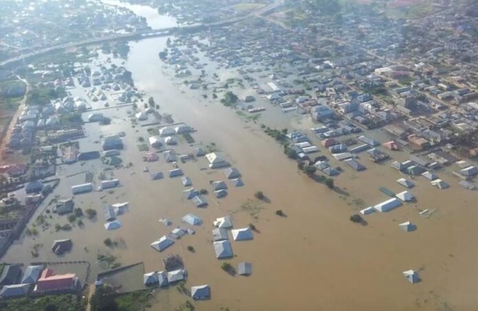 IMF warns of flood
