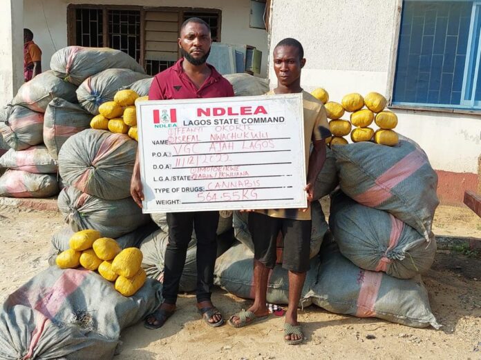 NDLEA-intercepts. Ifeanyi-Okorie-and-Israel-Nwachukwu