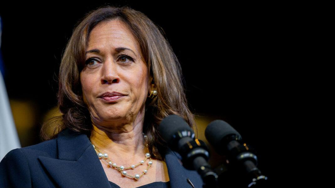 Kamala Harris announces new investment in Young African Leaders ...