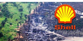 Shell to pay