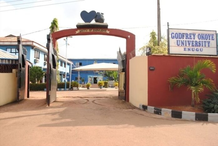 Godfrey Okoye University