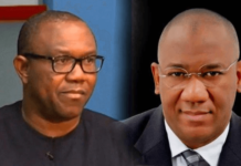 2023 election: FG accuses Peter Obi, Datti Ahmed of treason