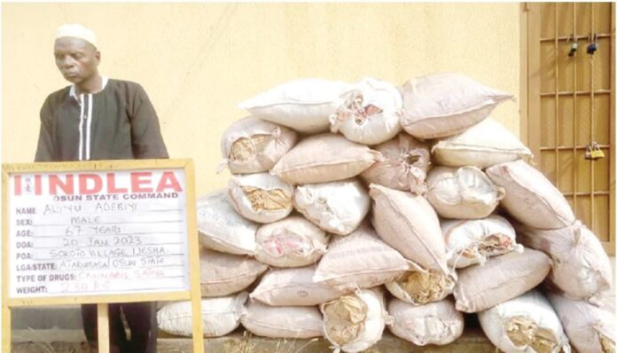 NDLEA arrests blind