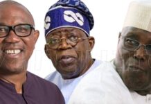 Neither Tinubu nor Atiku is fit for the CEO of Nigeria
