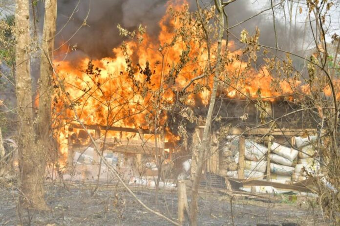 NDLEA-storms-Edo-Forest. The-impounded-drugs-on-fire