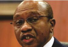 Emefiele: Why contracting Deloitte, for what purpose?